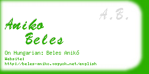aniko beles business card